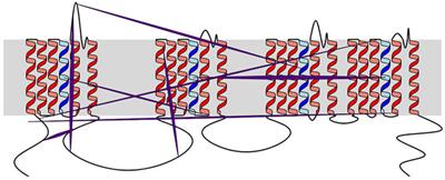 Naview: A d3.js Based JavaScript Library for Drawing and Annotating Voltage-Gated Sodium Channels Membrane Diagrams